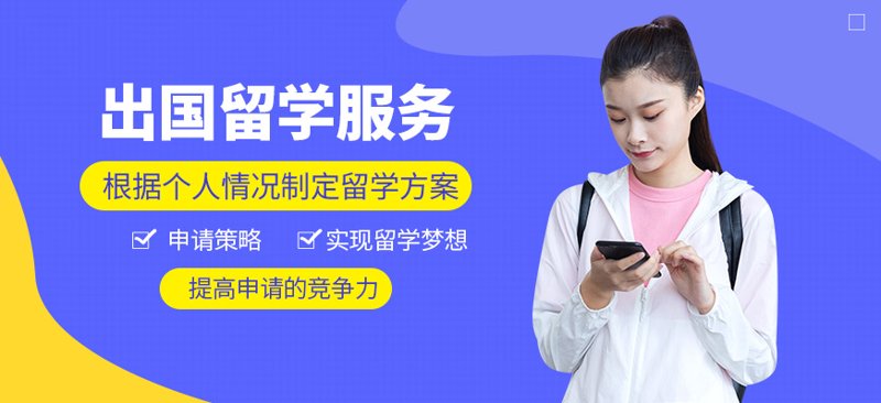 国际教育专业的未来:选择与挑战